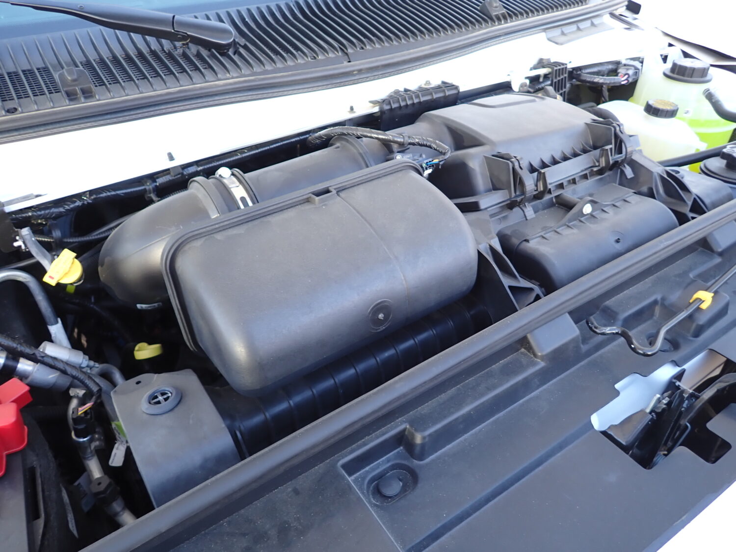 NEW 2024 Endera Shuttle Bus S28303 - Image 12